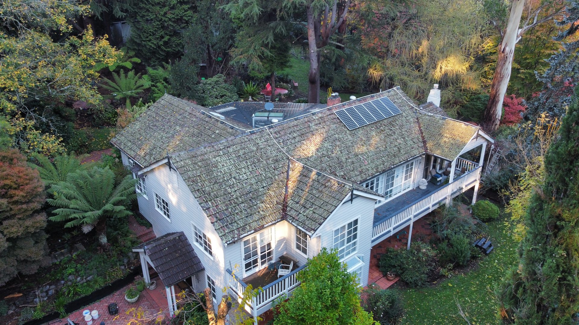 Mossy tile roof — before restoration